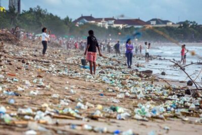 Protecting Biodiversity Hotspots in Malaysia
