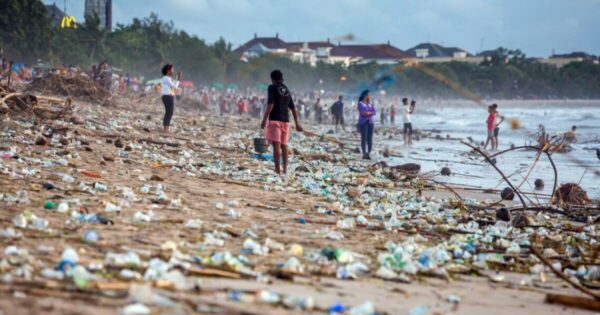 Protecting Biodiversity Hotspots in Malaysia