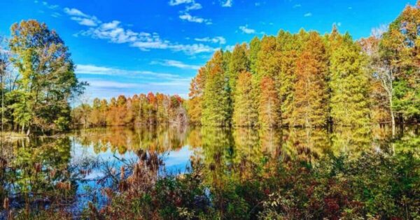 Powering North Carolina Through Waste