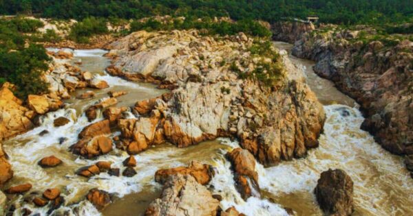 Reforestation of Degraded Land in India